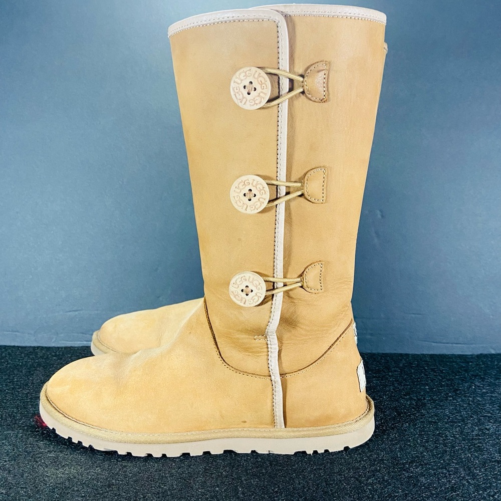 Ugg Annarosa Suede Chestnut boots